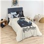 Housse de Couette Harry Potter 200 x 200 cm Lit de 120