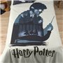 Housse de Couette Harry Potter 200 x 200 cm Lit de 120