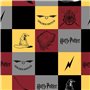 Housse de Couette Harry Potter Hogwarts 180 x 220 cm Lit 1 persone
