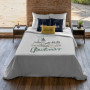 Housse de Couette Harry Potter Hogwarts Lit de 120 200 x 200 cm