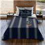 Housse de Couette Harry Potter Ravenclaw 200 x 200 cm Lit de 120