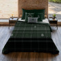 Housse de Couette Harry Potter Slytherin 200 x 200 cm Lit de 120