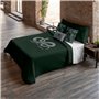 Housse de Couette Harry Potter Slytherin Value 220 x 220 cm Lit 2 pers