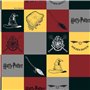 Nappe enduite antitache Harry Potter 250 x 140 cm