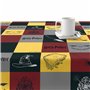 Nappe enduite antitache Harry Potter 250 x 140 cm