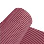 Tapis Antidérapant Exma Aqua-Mat Basic Bordeaux 15 m x 65 cm PVC Polyv