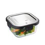 Boîte à lunch Gefu G-12756 Transparent Acier inoxydable Plastique Verr