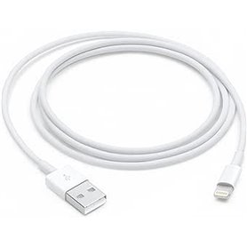 Câble USB vers Lightning Apple Blanc 1 m