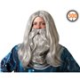 Perruque avec barbe Magicien Gris