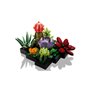 Set de construction Lego Succulent 10309 771 Pièces Multicouleur