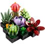 Set de construction Lego Succulent 10309 771 Pièces Multicouleur