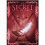 Le Secret du Faucon - Tome 4