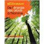 De l'énergie des arbres à l'Homme