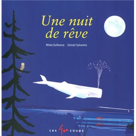 Une nuit de rêve