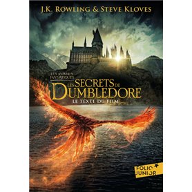 Les secrets de Dumbledore