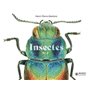 Insectes