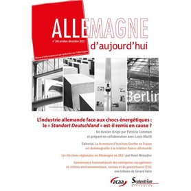 L'industrie allemande face aux chocs énergétiques : le Standort Deutschland est-il remis en cause ?