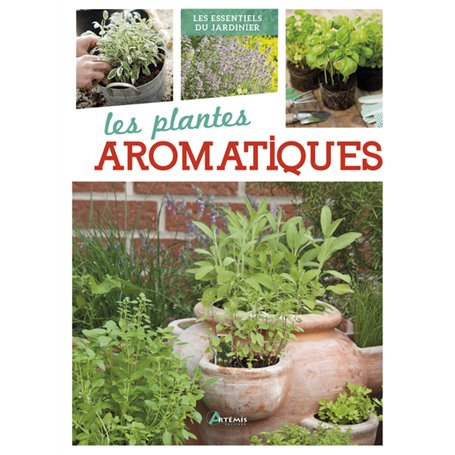 Plantes aromatiques