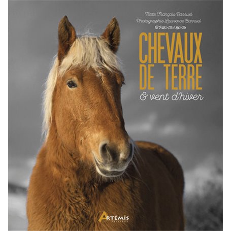 Chevaux de terre et vent d'hiver