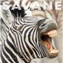 Savane en folie