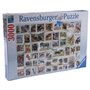 Puzzle Ravensburger Timbres Animaux (17079)