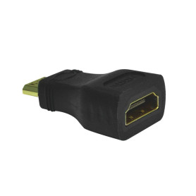 Adaptateur Mini HDMI vers HDMI femelle