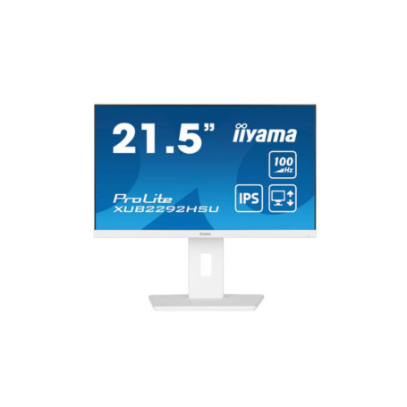 Ecran IIYAMA 21