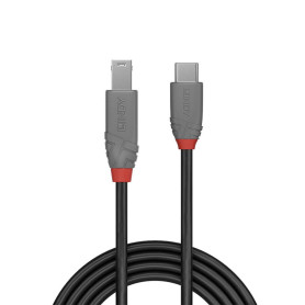 Lindy 36666 câble USB 1 m USB 3.2 Gen 1 (3.1 Gen 1) USB C USB B Noir