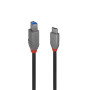 Lindy 36666 câble USB 1 m USB 3.2 Gen 1 (3.1 Gen 1) USB C USB B Noir