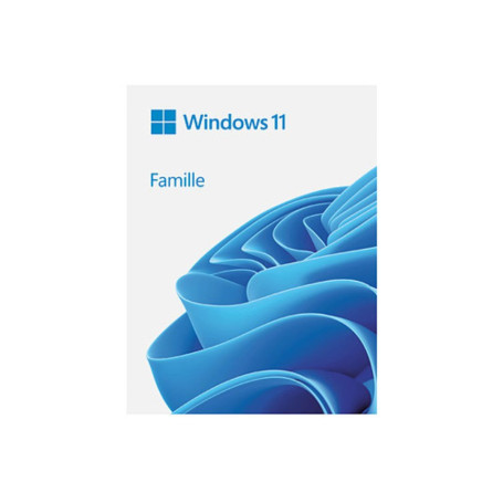 Microsoft Windows 11 Home 64bit (FR) DSP OEI DVD