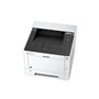 KYOCERA ECOSYS P2040dn 1200 x 1200 DPI A4