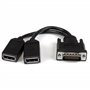 StarTech.com Câble adaptateur DMS-59 (LFH) vers 2x DisplayPort de 20cm - Câble en Y DMS 59 (M) vers double DP (F)