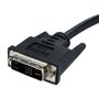 StarTech.com Câble écran DVI vers VGA - DVI-A (M) vers VGA HD15 (M) - 1m - Cordon DVI-A vers VGA