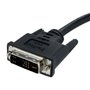 StarTech.com Câble écran DVI vers VGA - DVI-A (M) vers VGA HD15 (M) - 2m - Cordon DVI-A vers VGA