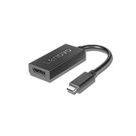 Lenovo 4X90Q93303 adaptateur graphique USB Noir