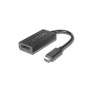 Lenovo 4X90Q93303 adaptateur graphique USB Noir