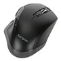 Targus AMW584GL souris Droitier RF sans fil Blue Trace 1600 DPI