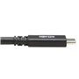Tripp Lite U420-20N-G2-5A câble USB 0,5 m USB 3.2 Gen 2 (3.1 Gen 2) USB C Noir