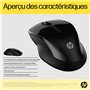 HP Souris double 250