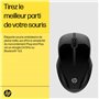 HP Souris double 250