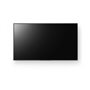 1 cm (65") LCD Wifi 440 cd/m² 4K Ultra HD Noir Android 24/7