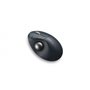Kensington Pro Fit Ergo TB550 souris Droitier RF sans fil + Bluetooth Trackball 1600 DPI