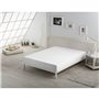 Drap housse Alexandra House Living Blanc