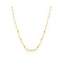 Collier Femme Ania Haie N025-03G 40 cm