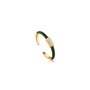 Bague Femme Ania Haie R031-01G-G (13)