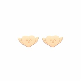 Boucles d´oreilles Femme Mr. Wonderful WJ10206 Acier inoxydable 1