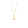 Collier Femme Secrecy P7159CDAW7C90 42 cm