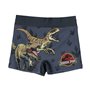 Boxer de Bain pour Enfants Jurassic Park Gris foncé