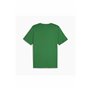 T-shirt à manches courtes homme Puma SNEAKER BOX TEE 680175 86 Vert