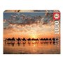 Puzzle Educa Australia Lever/coucher du soleil Plage 1000 Pièces